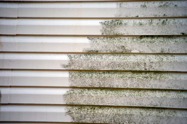 Best Siding Removal and Disposal  in Campton Hls, IL